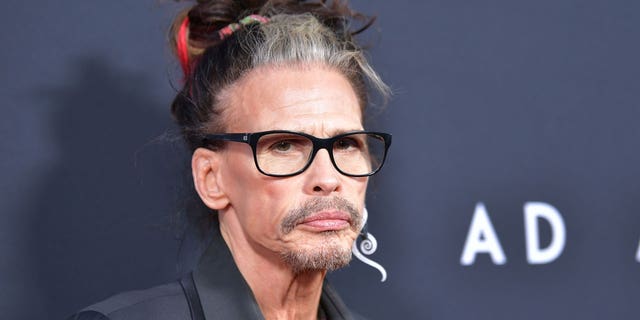 Steven Tyler on the red carpet