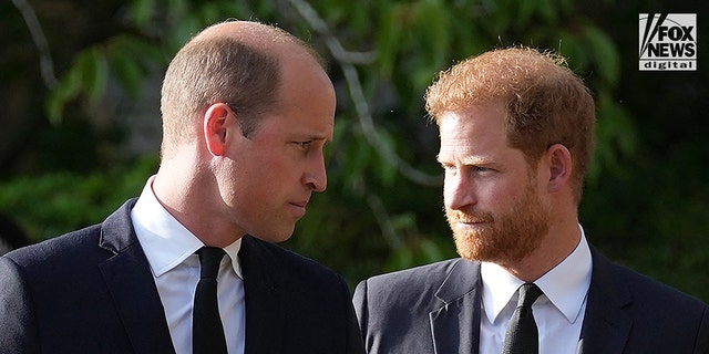 prince harry and prince william looking at each other during walkabout