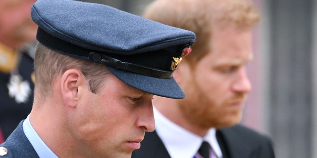 A close-up of Prince William in uniform and Prince Harry in a suit looking down