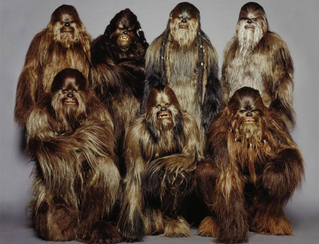 4-wookies