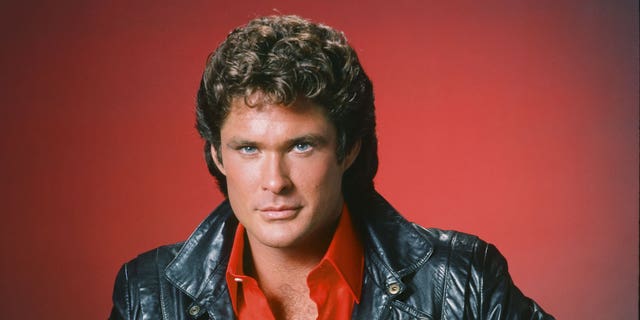 David Hasselhoff