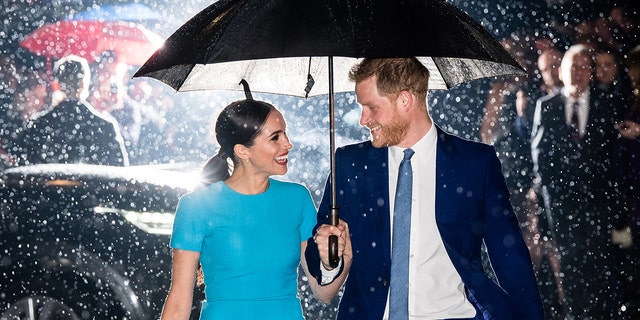 Meghan Markle in a blue dress and Prince Harry wearing a grey suit holding an umbrella in the rain