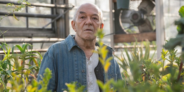 Mark Margolis in The Blacklist