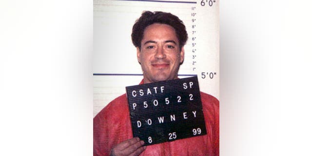 Robert Downey Jr's mugshot