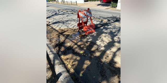 A second photo taken by Arnold Schwarzenegger shows that there are two potholes.