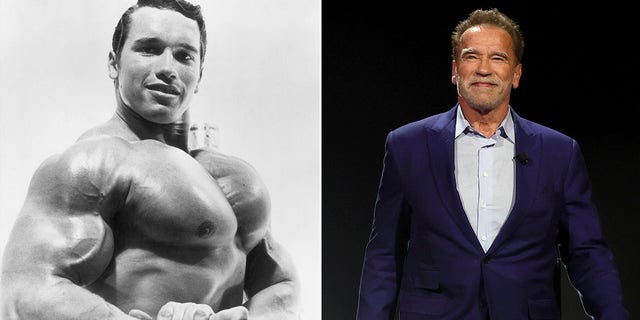 A split image featuring a photo of Arnold Schwarzenegger in his body-building days and a current photo of him.