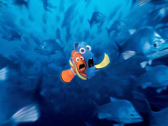 Finding-Nemo-8823-1600X1200