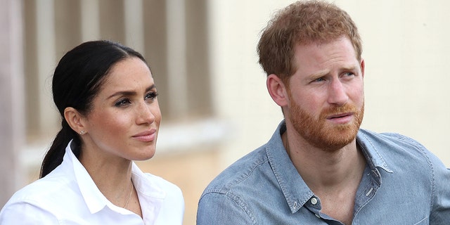 Meghan Markle and Prince Harry made several shocking statements in the Oprah Winfrey interview.