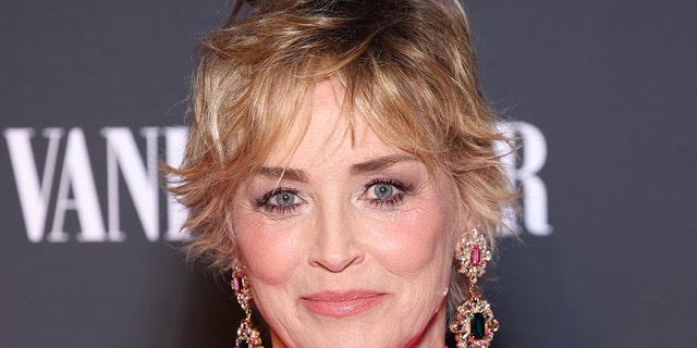 Sharon Stone has had plastic surgeries in the past to try and conceal the scar on her neck.