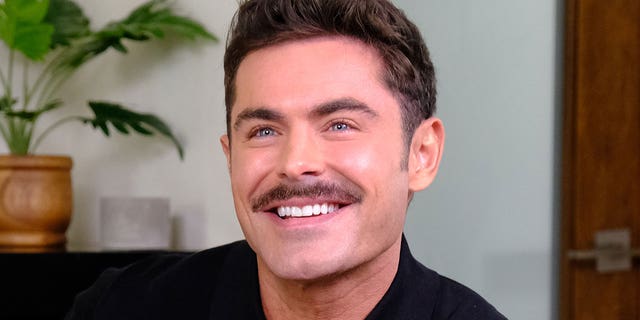 Zac Efron was involved in a bicycle accident in 2017.